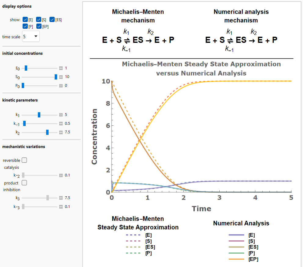 image of Michaelis-Menten Enzyme Kinetics simulation