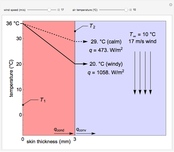 Effect of Wind Chill on Skin Temperature