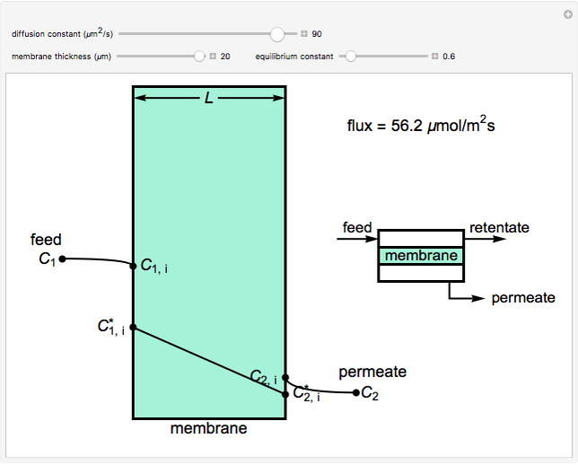 Membrane Concentration Profile