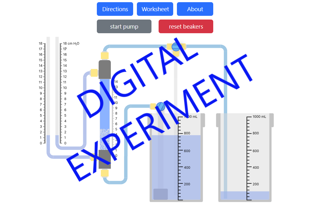 Fluidized Bed Digital Experiment