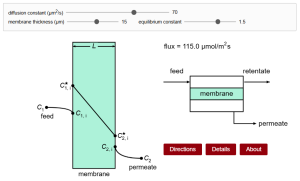 shows the concentration profiles on the feed and permeate sides of a membrane resulting from a diffusion boundary layer and the concentration profile inside the membrane. User can vary membrane thickness and diffusion and equilibrium constants.