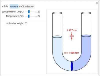 A sample image for a simulation of osmotic pressure.